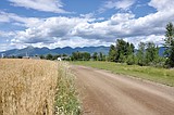 Easement protects family land forever