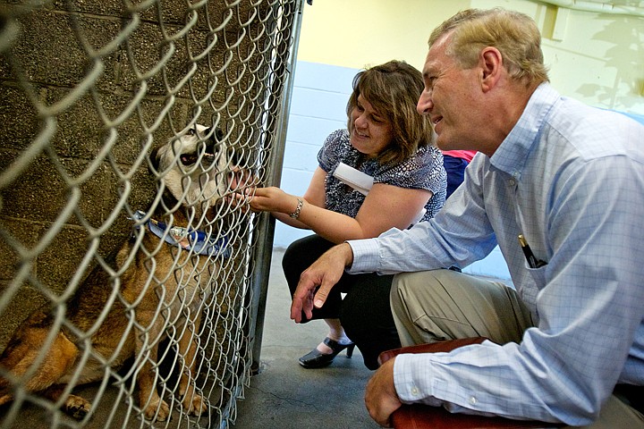 &lt;p&gt;JEROME A. POLLOS/Press Ernie Slone, editor of Dog Fancy magazine, and Rondi Renaldo, executive director for the Kootenai Humane Society, visit with one of the 80 dogs at the shelter in Hayden during a tour Tuesday. Slone's magazine recently named Coeur d'Alene DogTown USA, the most dog-friendly city in the country.&lt;/p&gt;
