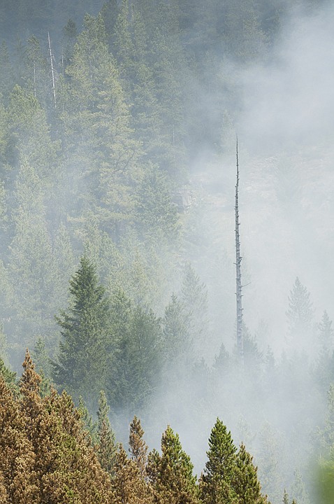 &lt;p&gt;An esitimated 60 acres burn near the confluence of the
Stillwater River and Fitzsimmons Creek Tuesday morning.&lt;/p&gt;