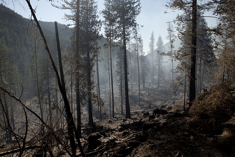 &lt;p&gt;The South Fork Lost Creek Fire.&lt;/p&gt;