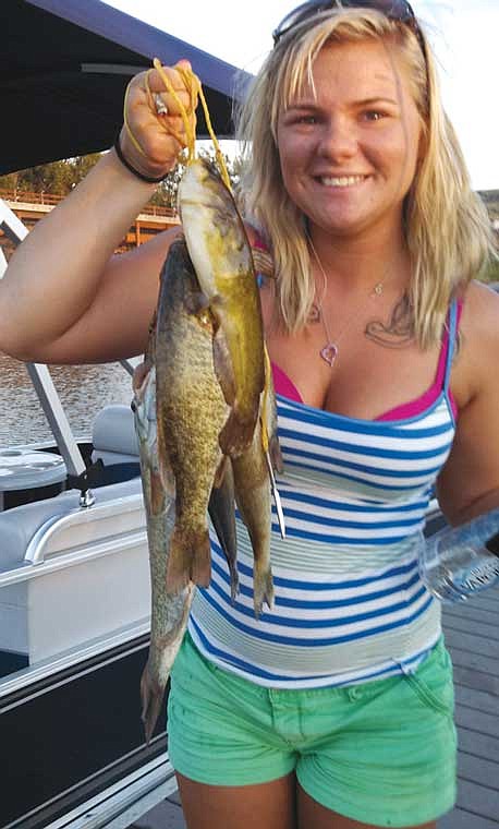 Julie Krysiak of Bonney Lake caught these Perch and Smallmouth Bass fishing around Goose Island over the weekend.