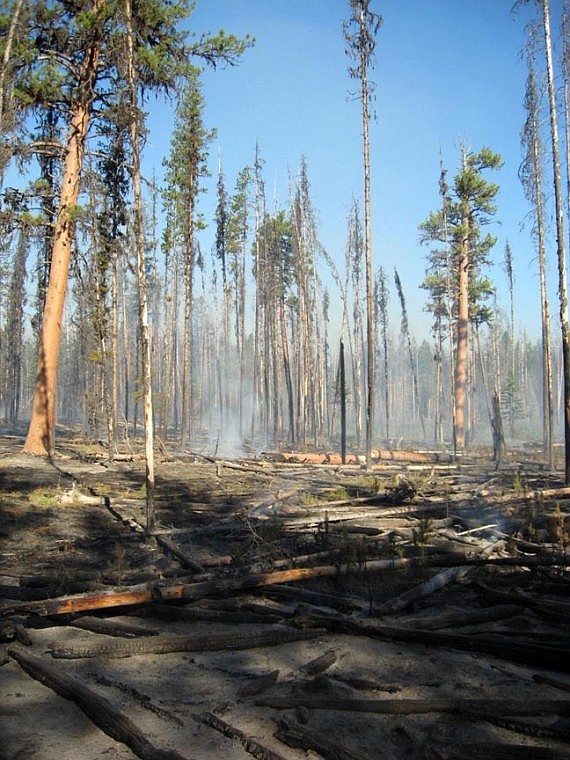 &lt;p&gt;Smoldering areas remain after the Hammer Creek Fire burned
through this area of the Bob Marshall Wilderness.&lt;/p&gt;