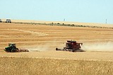 Drought, demand push wheat prices higher