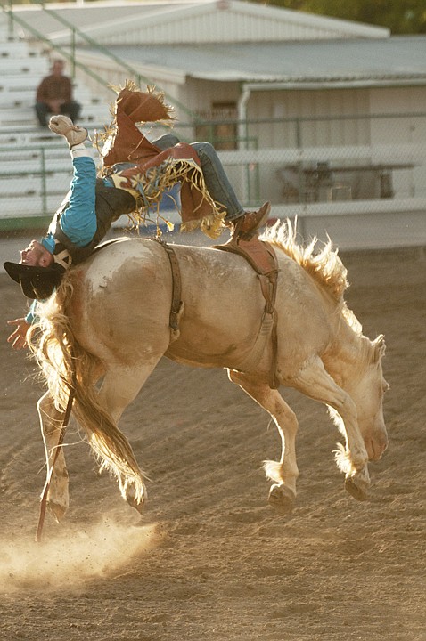 &lt;p&gt;Justin Miller is bucked off moments after completing his
bareback ride during the first night of the PRCA rodeo at the
Northwest Montana Fair Thursday.&lt;/p&gt;