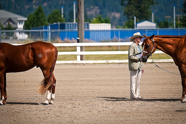 &lt;p&gt;BEN BREWER/Press Show Judge Gena Loper looks over a series of Quarter Horse geldings at the North Idaho Fair and Rodeo Open Horse Show at the Kootenai County Fairgrounds in Coeur d'Alene on Friday.&lt;/p&gt;