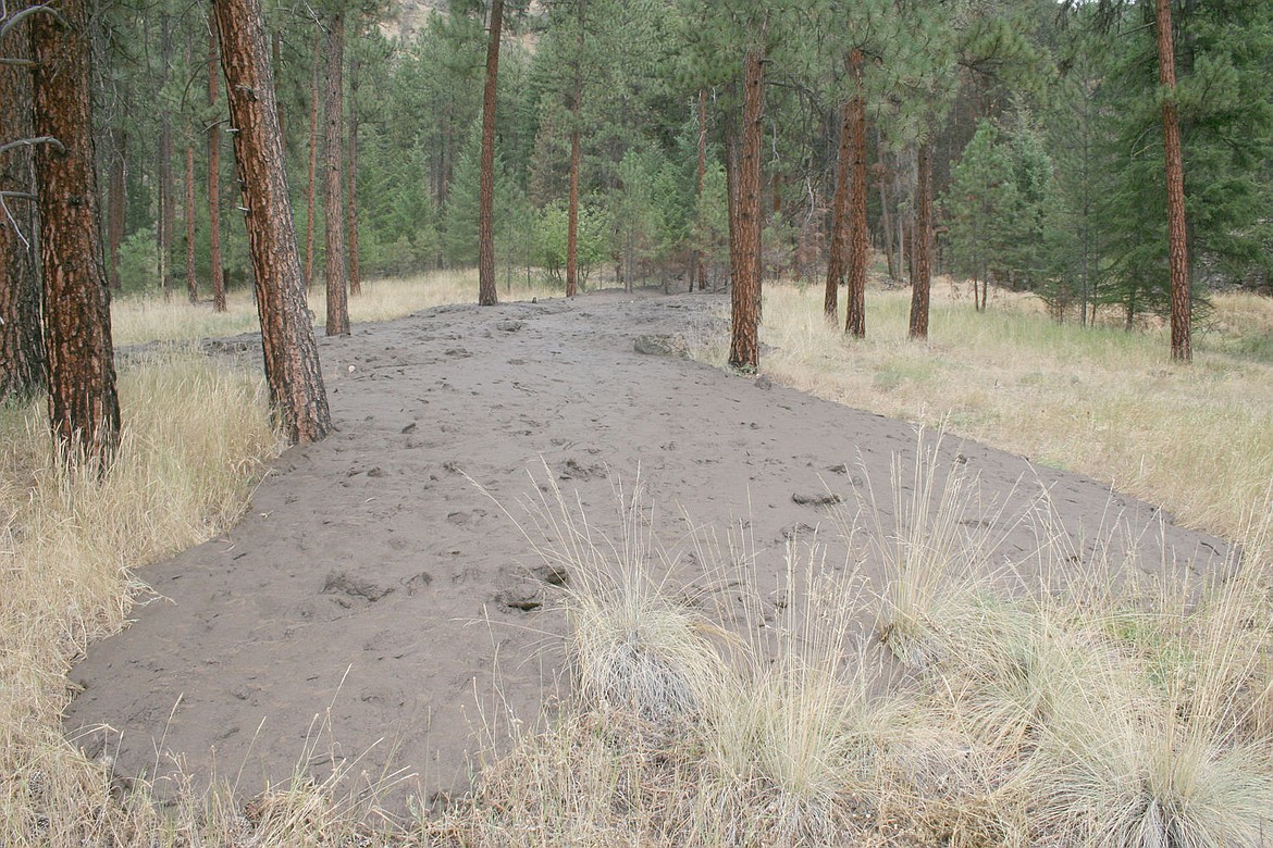 <p>There were no reports of injuries or property damage after two mudslides struck near Superior on Thursday.</p>