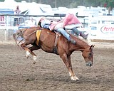 Rodeo draws packed crowd at fair