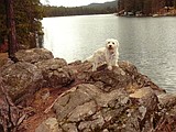 Discovering the secrets of Black Bay Park