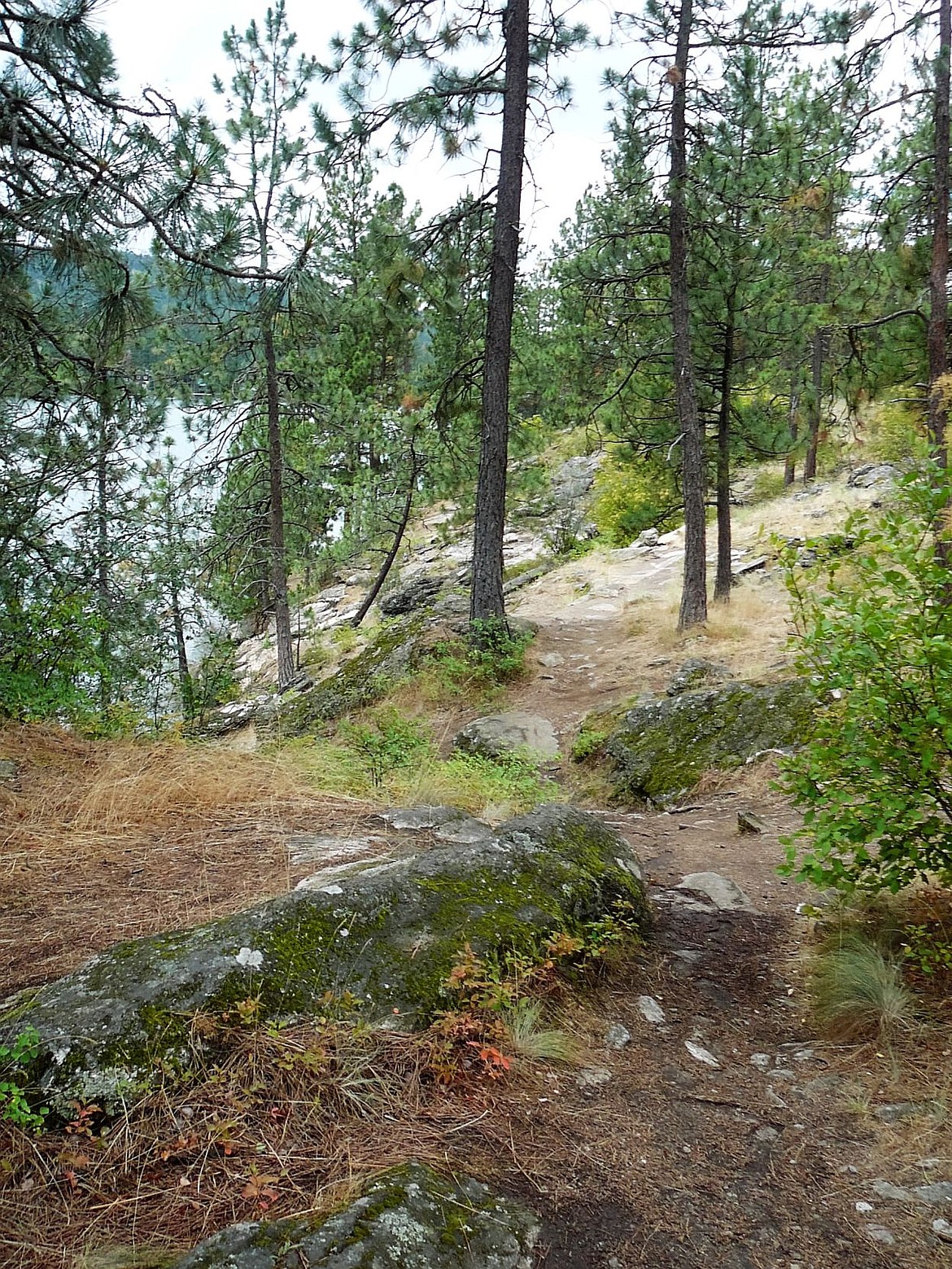 Discovering the secrets of Black Bay Park