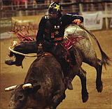 Proctor takes early bull riding lead at Moses Lake Roundup