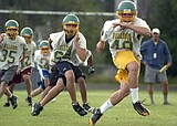 Running the 'Dogs