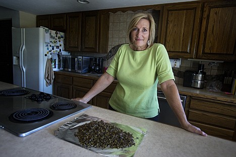 &lt;p&gt;Janet Haworth stands next to a pile of wasp corpses Monday afternoon that she poured out on her kitchen counter. The hornets are from traps she set in her back yard in an attempt to minimize the swarms of the pesky insects that she and her husband have dealt with throughout the summer.&lt;/p&gt;