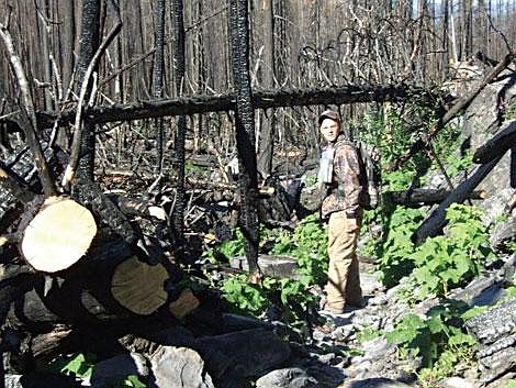 Courtesy photo Plains Back Country Horseman David Read searches for noxious weeds around the trails near Chippy Creek. Read was part of a group of 20 riders and hikers that left to identify noxious weed populations in the Chippy Creek area using GPS systems.