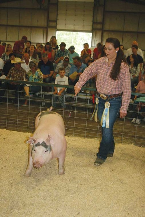 Shelby Daniel, Othello, and her pig try to show to their best advantage at the stock sale at the Grant County Fair.