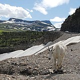 Park outlines Sun Road fall schedule