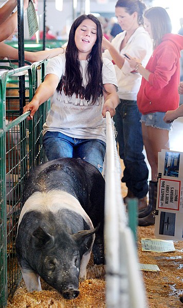 Trista Wise, 19, of Kalispell struggles with a reluctant &quot;Malvolio,&quot; her sister's 260 pound pig, on Monday at the Northwest Montana Fair. Wise's sister Tanaia, 17, will be competing with Malvolio in the showmanship senior and market categories.