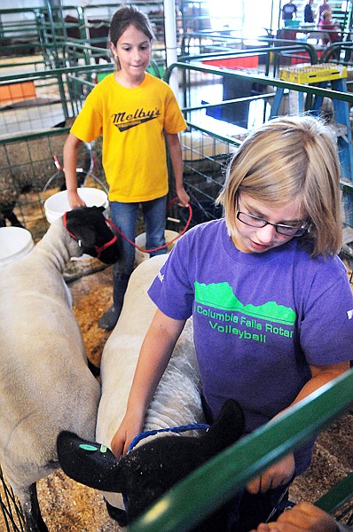 Kyla Johnston, 9, front, and Cortnee Anello, 9, both of Columbia Falls, prepare to take their sheep through a practice run of the competition on Monday at the Northwest Montana Fair. Both girls are members of the Dandy Dudes and  Dolls 4-H and this is their first year competing.