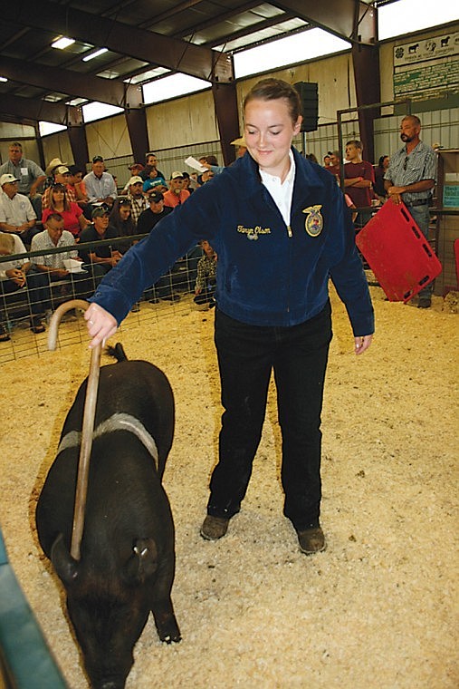 Taryn Olson, Warden, runs her pig through its paces during the stock sale at the Grant County Fair.