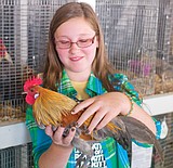 Coram rooster a crowing champ