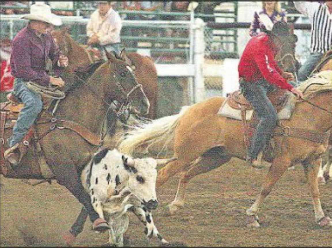 Jacob Stacy of Moses Lake (red) misses his steer wrestling opportunity with the steer stopped in mid stride, causing a collision with hazer Nick Gutzwiler.