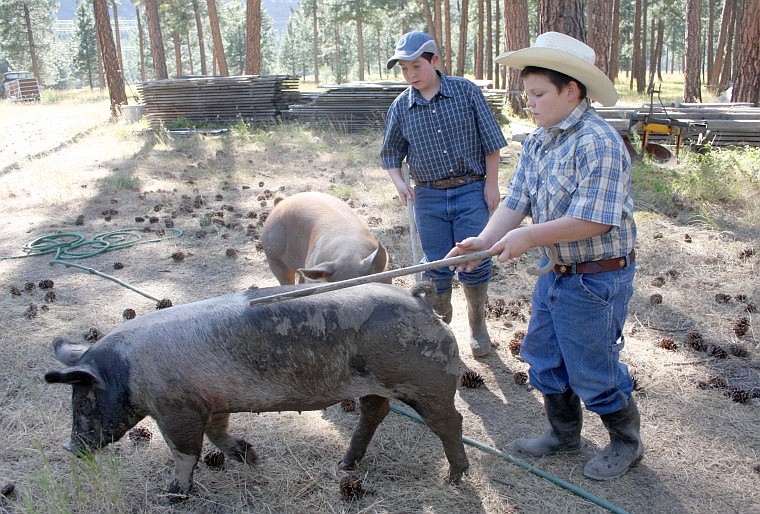 &lt;p&gt;&lt;strong&gt;Jake, 12, (left) and Travis Legard, 11 (right) practice handling their two hogs. The hogs, Spamola and Lady will be in the 4-H market auction at the fair.&lt;/strong&gt;&lt;/p&gt;
&lt;div&gt;&lt;strong&gt;&lt;br /&gt;&lt;/strong&gt;&lt;/div&gt;