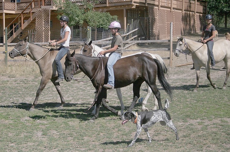 &lt;p&gt;&lt;strong&gt;The three Sweet sisters (left-right Mahala, Marcada and Valeria) bareback it over on their colts and yearling to the McGuigan property to saddle up for a riding exercise. Along with Fair, the girls were also preparing for a show in St. Ignatius over the weekend.&lt;/strong&gt;&lt;/p&gt;
&lt;div&gt;&lt;strong&gt;&lt;br /&gt;&lt;/strong&gt;&lt;/div&gt;