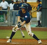 Dogs earn individual accolades