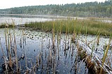 Improvements planned at Blanchard Lake