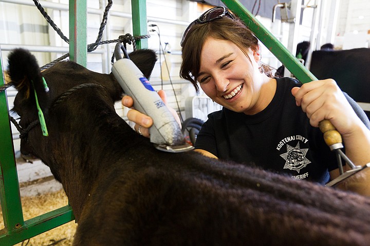 &lt;p&gt;SHAWN GUST/Press Beverly Shirts, 22, of Athol, trims a 4-month-old lowline angus calf in preparations for an exhibit. Zany Zoey, the calf from Cloverdale Farms in Rathdrum, is showing for her first time.&lt;/p&gt;