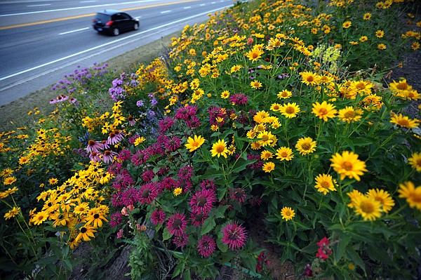 &lt;p&gt;A lone driver makes his way north on U.S. 93, past Linda Spangle&#146;s roadside garden, in the predawn light Aug. 20 in Kalispell. Flowers ranging in size, shape and color dot the hillside from April until the first hard frost.&lt;/p&gt;