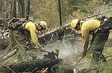 Evacuation lifted at Star Meadow, but fire situation statewide remains serious