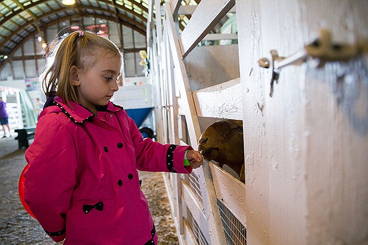 &lt;p&gt;TESS FREEMAN/Press&lt;/p&gt;&lt;p&gt;Serenity Horner, 5, pets Hermes the goat inside the goat barn at the North Idaho Fair and Rodeo on Friday morning.&lt;/p&gt;