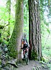 Two-wheelin' on a legendary Cascades trail