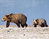 Ulrich to put on photo show