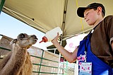Idaho's exotics