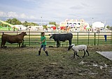 Swan Eiver 4-h club fair awards 2014