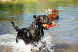 Week in photos: 9-2-10