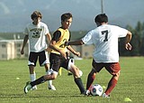 Bulldogs soccer young and hungry