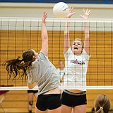 Wildkat volleyball team is tall and athletic
