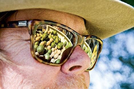 Ali Bronsdon/To the Valley Press A truck bed full of Dixon melons reflects in George Mann&#146;s sunglasses at Dixon Melon days.