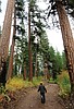 Long-term fix eyed for Park's oldest road