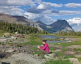 Logan Pass researchers tracking goats - and humans