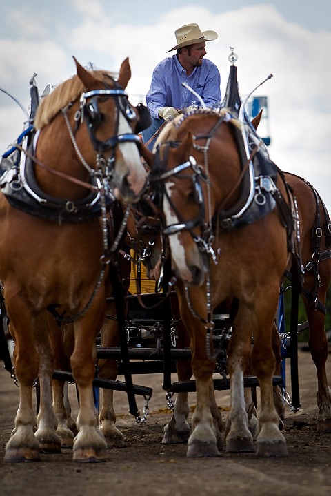 &lt;p&gt;JEROME A. POLLOS/Press Brandon Moore watches a competitor in the &quot;four-up&quot; competition from his bench as his team of Belgian Draft horses rest outside of the arena.&lt;/p&gt;