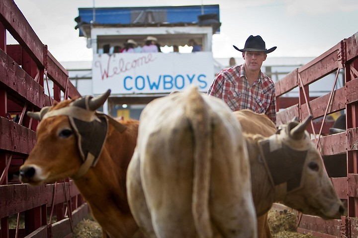 &lt;p&gt;JEROME A. POLLOS/Press Dave McMichael helps unload and separate roping steers for events Friday at the North Idaho Fair and Rodeo.&lt;/p&gt;