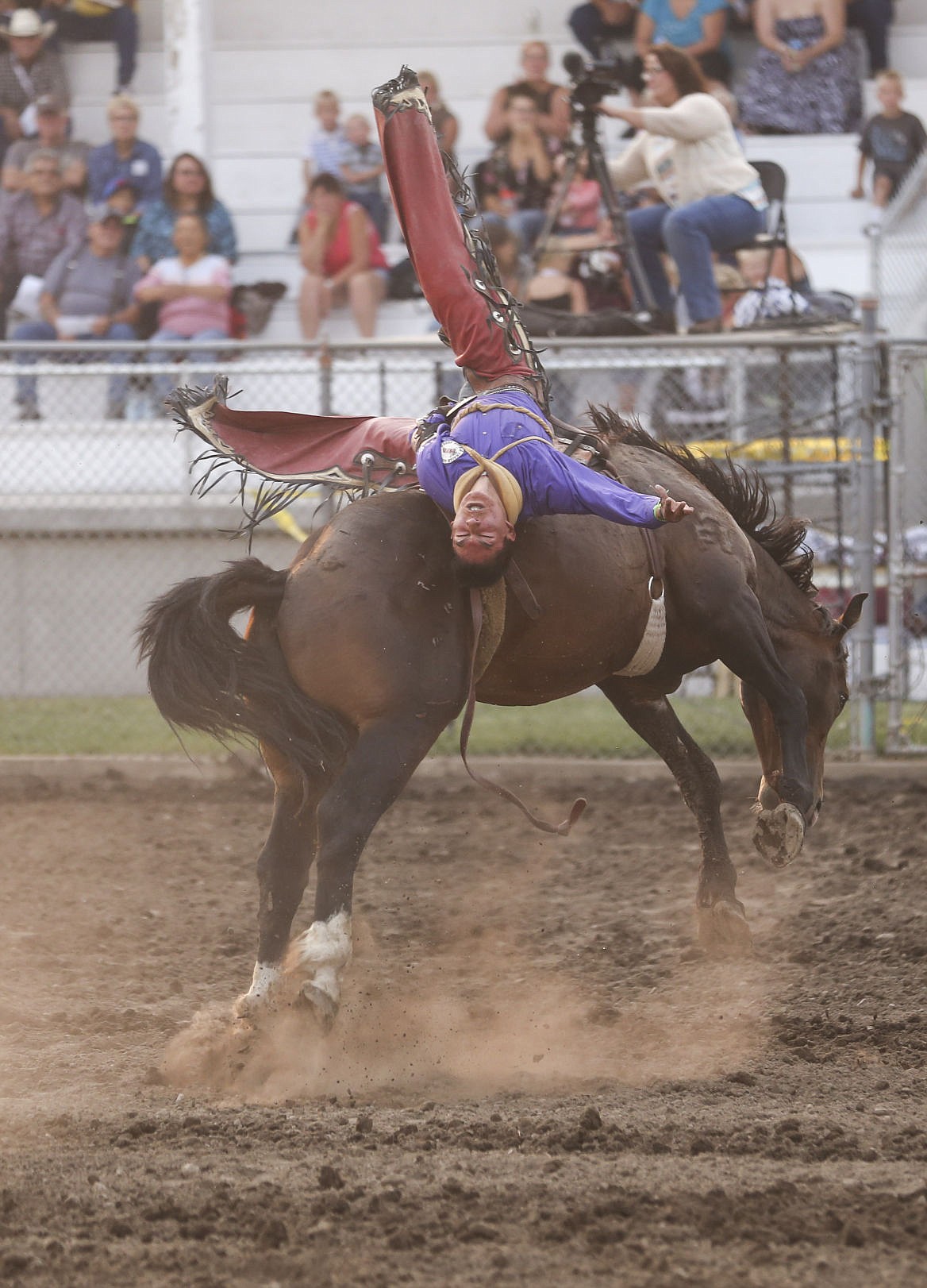 &lt;p&gt;Cam Bruised Head of Standoff, Alberta hangs on tight during the bareback riding event on Thursday at the Flathead River rodeo.&lt;/p&gt;