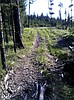 Blacktail resident appeals motorized trails decision