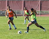 MLHS girls soccer eyes state birth