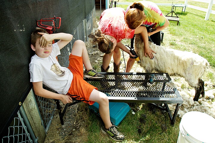 &lt;p&gt;JEROME A. POLLOS/Press Dirk Nelson, 9, rubs his eye while sitting on a sheep shearing stand as his sisters, Erika Norlander, 16, right, and Jessica Norlander, 15, all with the Mountain Gem 4-H club, shear his lamb Monday at one of the 4-H areas at the North Idaho Fair and Rodeo.&lt;/p&gt;