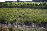 'Very hurtful to farmers and ranchers'