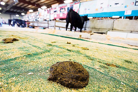 &lt;p&gt;Where there&#146;s livestock, there&#146;s &#133; well, manure - something for North Idaho Fair-goers to avoid stepping in, and for organizers to find ways to recycle.&lt;/p&gt;